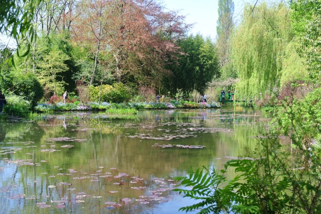The famous pond created by Monet in a field