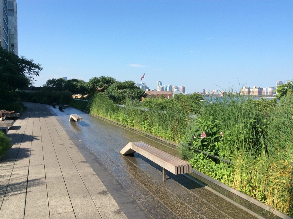 Benches and water installations flow all along the High Line where you can see Staten Island in the background