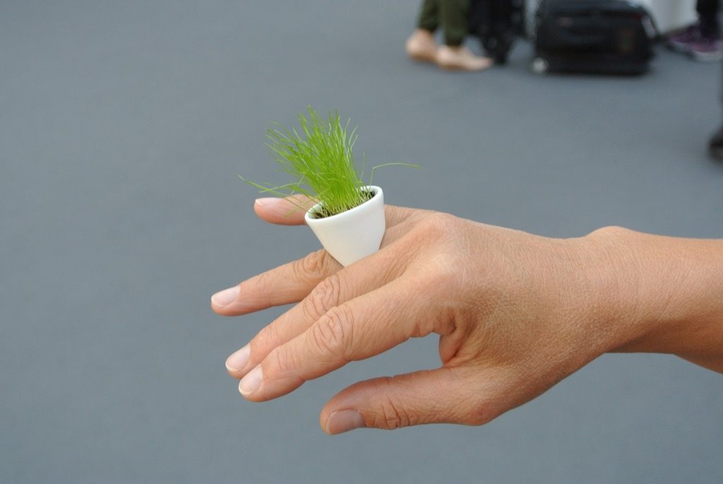 a porcelain ring in which you grow what you like (Esprit Porcelaine in Limoges)