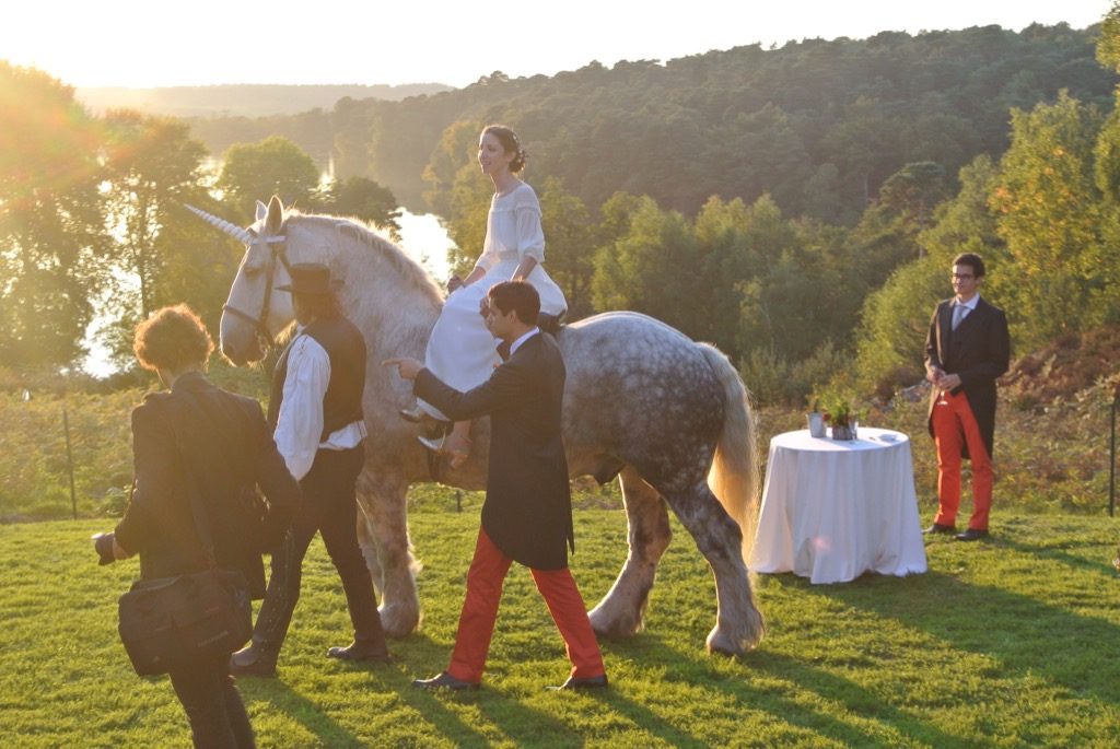 The insolent autumns sun shone on the lake and the groom forgot his fear of horses for one minute…