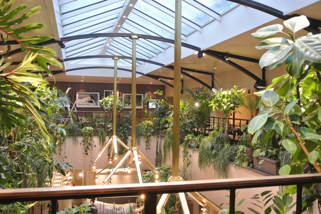 A tropical forest for the "balcon" where you can have tapas and small meals