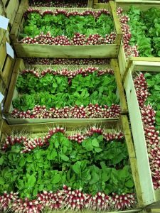 Fresh radishes come from small local farms in Ile de France