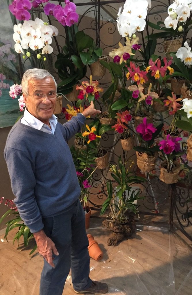 Philippe Lecoufle and his wonderful collections of Orchids and cattleyas